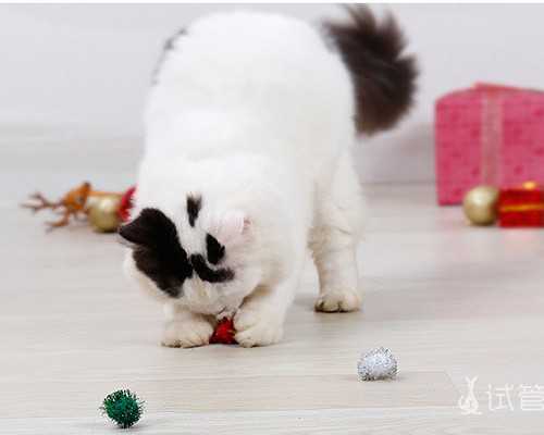 太原供卵中心正规吗_借卵做试管婴儿需要多少钱？2022年最新借卵费用明细来啦