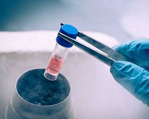 老挝供卵试管靠谱吗_赣州正规供卵试管婴儿医院有哪些？