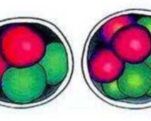 昆明代孕和自己试管,泰国试管婴儿移植后需要住院多久才安全？-大家试管移植