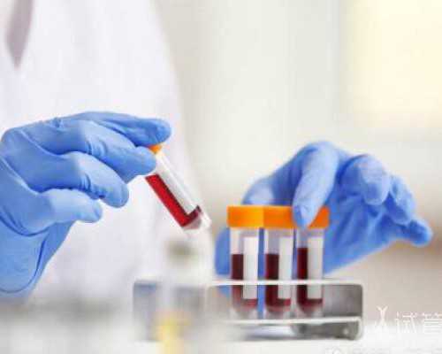 供卵试管有什么要求_孕37周还需要补铁吗