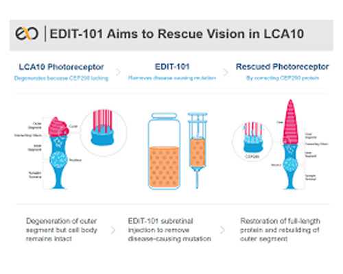 做供卵需要多少钱_2022河南供卵试管婴儿费用一览，附供卵试管价格明细介绍