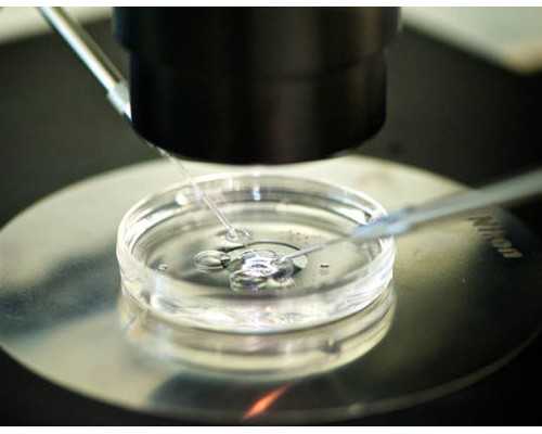 太原供卵公司成功率_试管婴儿哪个医院好？国内国外医院情况对比