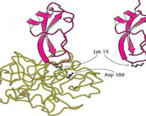 清宫图一定是按农历而非阳历算，碰到闰月解决办法在这里