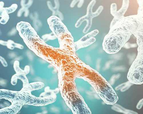 供卵试管成功率高吗?_产妇吃大白菜会回奶吗