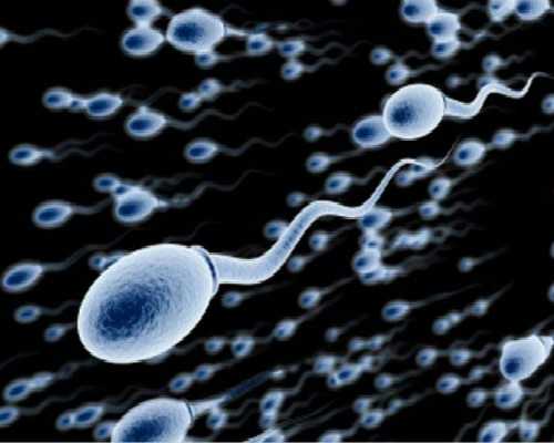 2022安徽省立医院试管婴儿成功率一览，附试管医生推荐