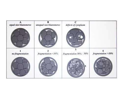 当心别被骗了！永城市目前真的还不能做试管婴儿