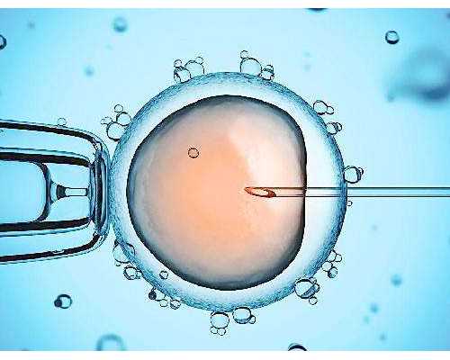 内膜17mm回声不均匀别大意，出现这三种问题不适合移植
