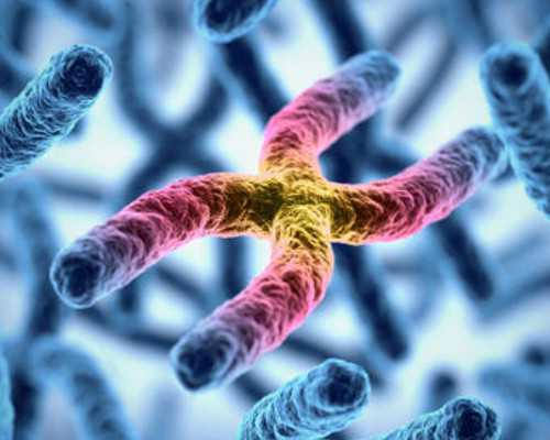 真的假的？试管婴儿能直接决定孩子性别？