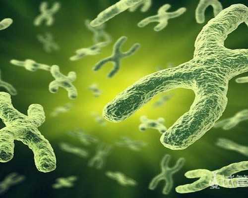 长期喝喝蒲公英水治高危hpv58是真的吗？