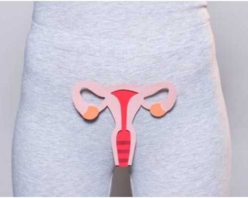 囊胚移植是不是更容易生男孩