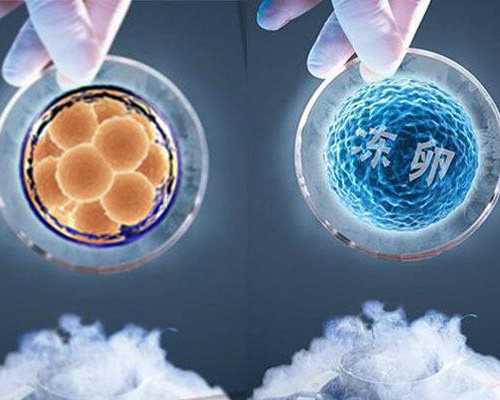 社保满一年后停了生育险还能报销吗？生育险是怎么报销的？