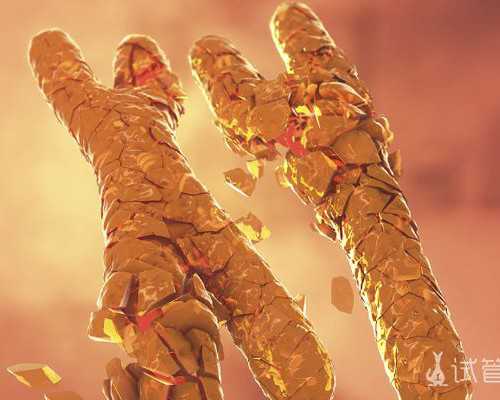 马来西亚试管婴儿胚胎不着床是什么原因