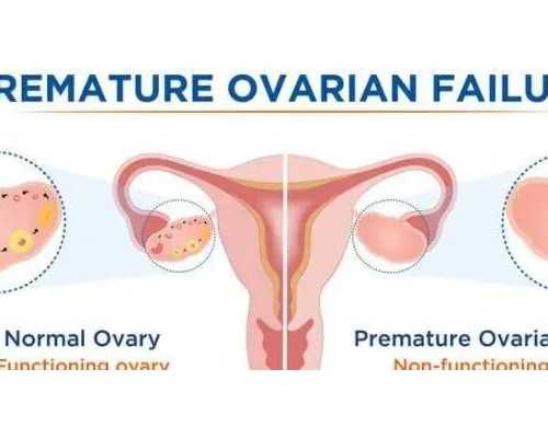 昆明供卵代怀公司医院,丽水供卵试管婴：昆明供卵试管婴儿医院