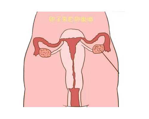 潮热、失眠要警惕！60秒告诉你闭经吃坤泰胶囊有没有用