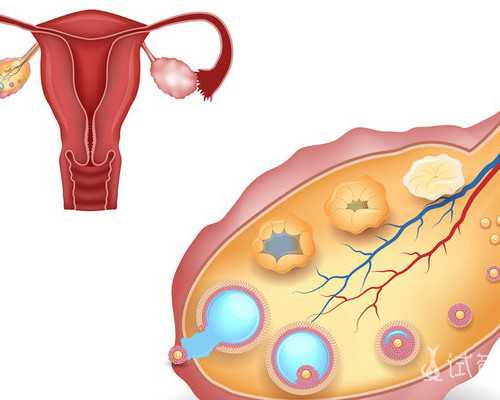 青海供卵试管论坛_剖腹产后拉肚子吃什么
