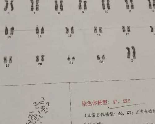 昆明哪里有代孕中介呢,2024在上海仁济医院做试管多少钱？会不会很贵？_上海供