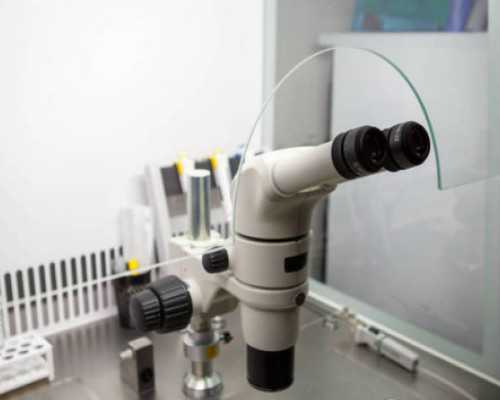 北京供卵三代试管_539家辅助生育机构获批 妊娠率在40%-50%之间 专家：不能过分