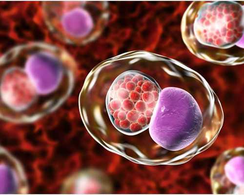 离婚协议书怎么写｜保障女方！