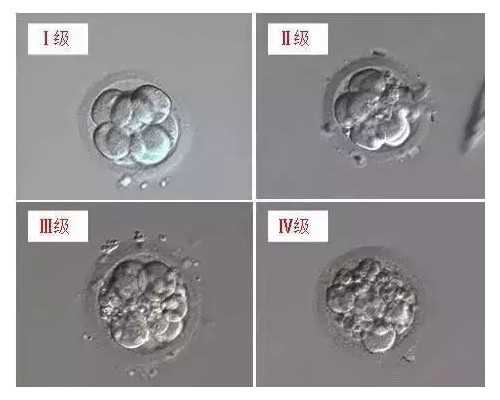 男性有更年期症状吃多久睾丸片才会见效？