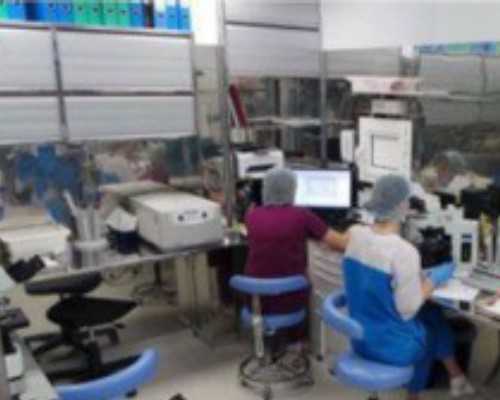 取卵后多久能移植囊胚？