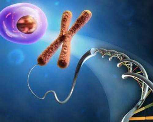 贵阳供卵企业联系电话_五个月宝宝咳嗽有痰怎么办