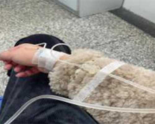 备孕一定要吃叶酸吗？备孕吃叶酸的必要性