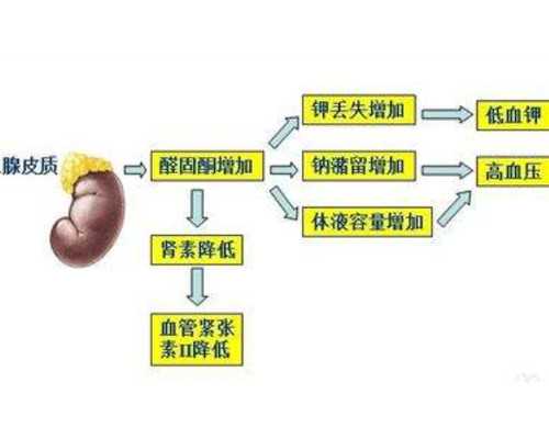 滴虫是什么原因引起的