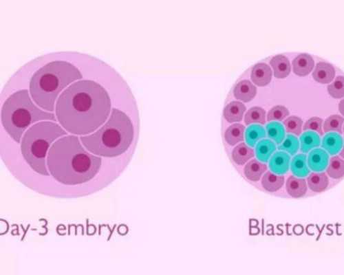 46岁能供卵生子骗子_南宁做试管生男孩费用多少？南宁试管生男孩费用贵吗？