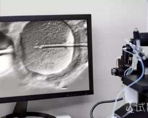 不孕不育检查的四个步骤