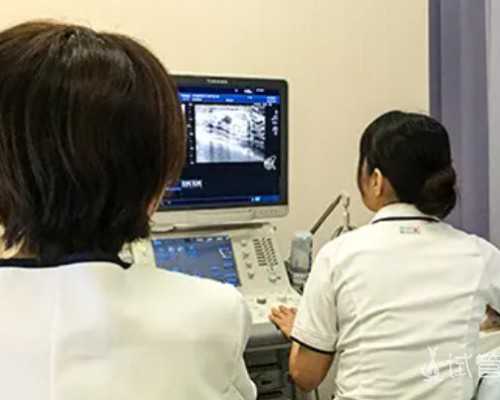 卵子质量等级如何划分