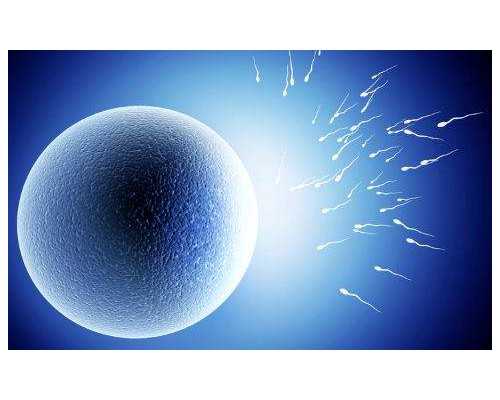 男人该如何养“精”蓄锐