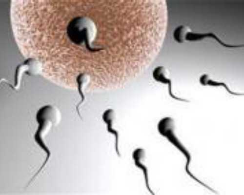 醋酸泼尼松龙片连续吃一个月有何副作用