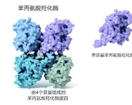 昆明供卵代怀公司医院,昆明供卵是什么：昆明有供卵的试管医院吗