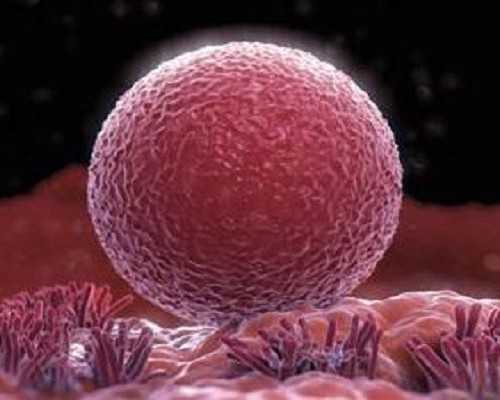 广州哪里有正规的供卵_2022年河南省当地供卵试管助孕医院排名（内含成功率及