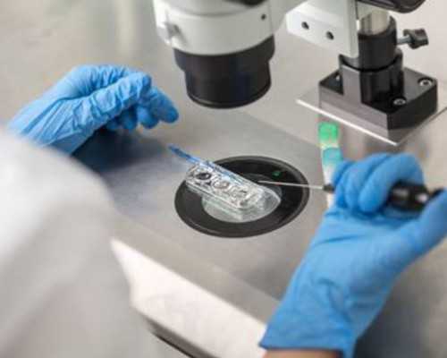 昆明有没有成功代孕的,湖南妇幼保健院可以做试管生男女吗？附详细费用信息