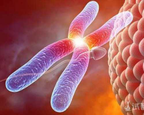 做供卵成功率一般有多少_哺乳期乳房肿胀疼痛是怎么回事