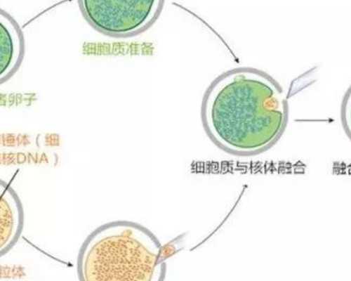 宁夏试管供卵包生男孩_宝宝的牙腐蚀了怎么办