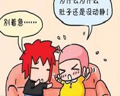 2022贵州私立供卵机构名单汇总，内附医院地址及技术项目