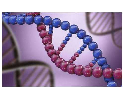 排卵试纸强阳是怎么显示的？