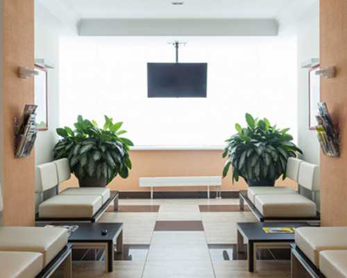 做试管婴儿周期取多少卵子比较合适