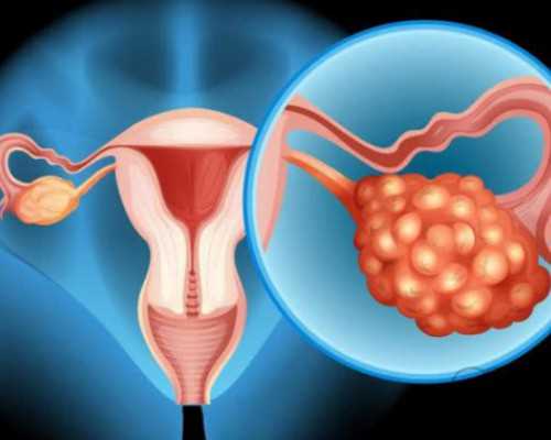 昆明助孕产子公司需要多少钱,去泰国做试管婴儿的费用贵吗？有价目表吗？_洛