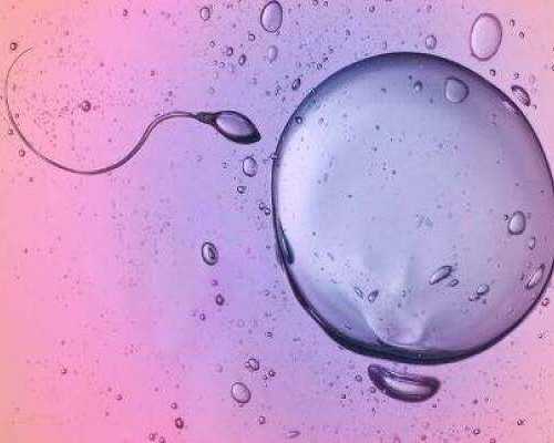 重庆哪些医院做试管婴儿比较好？