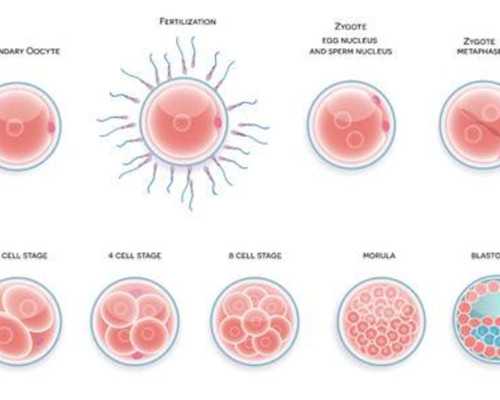 长沙供卵试管中心_五个月宝宝拉绿色粑粑怎么回事