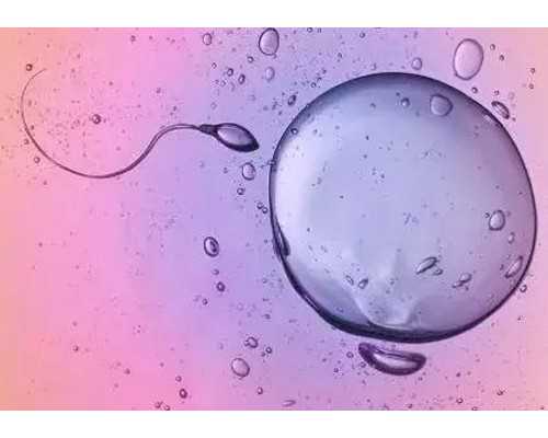 大龄女性用抗结剂方案促排一般一次能取多少个卵子？