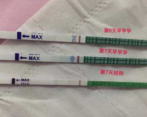 重庆供卵中心正规吗_【成都供卵多少钱】早期出血不要怕，热乎乎的胎心胎芽