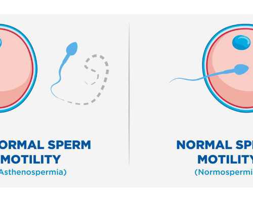 男同通过试管可以合法生孩子吗？费用大概多少钱？