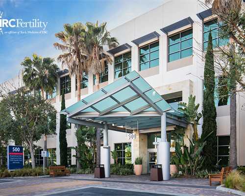 人工智能（AI）具体能在哪些方面提高IVF的成功率呢？