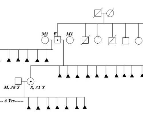 卵妹是什么意思供卵_顺产打宫缩针吗