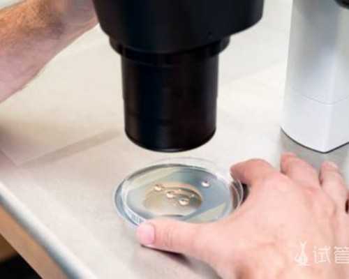 心情不好，不开心，抑郁了，吃它，看它