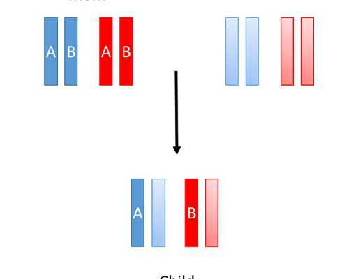 海口有供卵试管医院_【广州有供卵试管婴儿医院吗】婚3年，备孕2年。迟迟没有